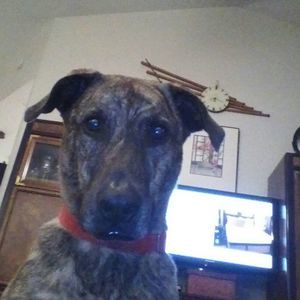 Meet your Posher, Terry